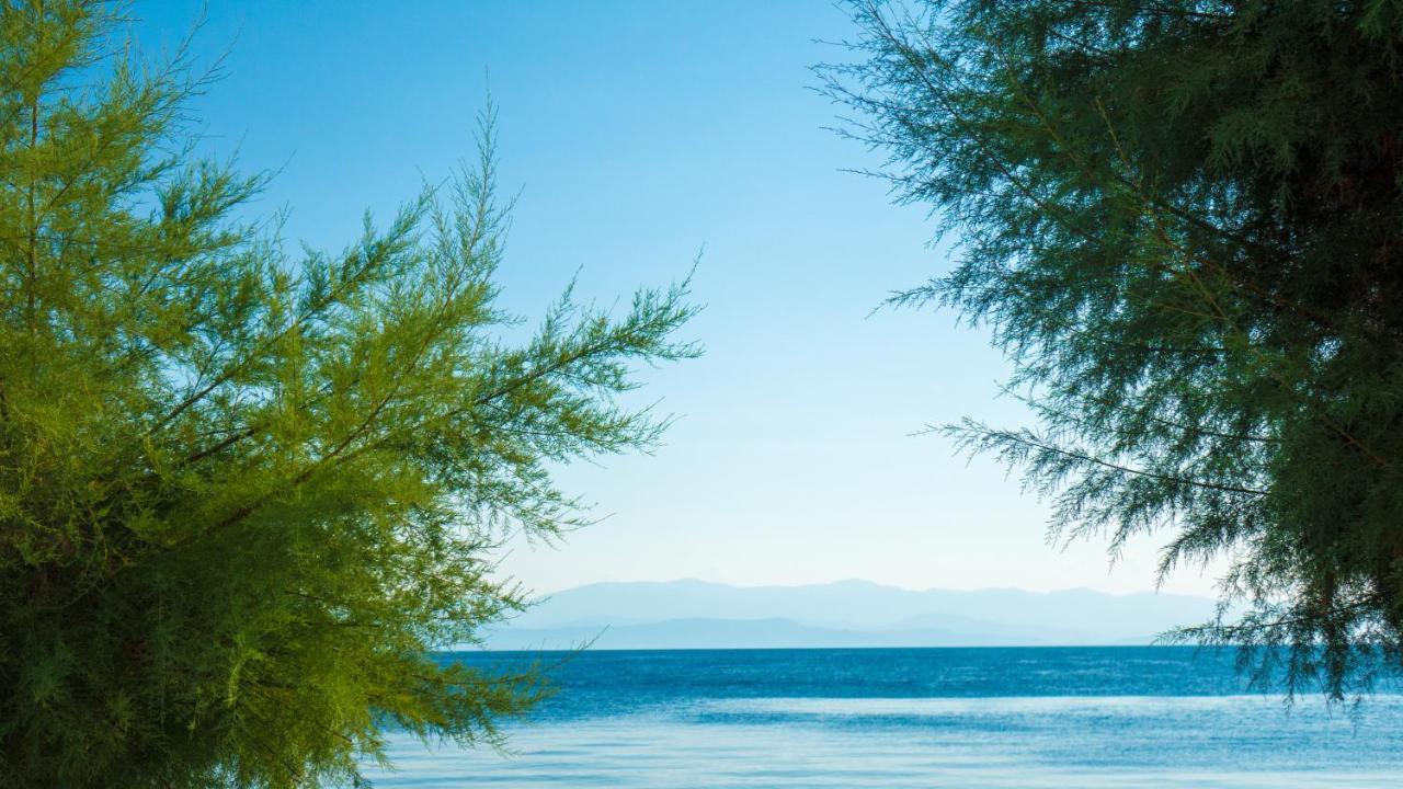 Afissos Seaside Studios Exteriör bild